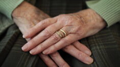 Procès du meurtrier présumé de Jocelyne, 82 ans: le jour du meurtre, il lui avait offert des fleurs