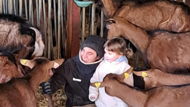 Delphine Serreau a lancé une cagnotte intitulée « Sauvez mes chèvres ». (Capture d’écran cagnotte Leetchi)