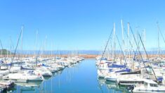 Côtes-d’Armor: les corps de deux hommes repêchés dans le port de Trébeurden