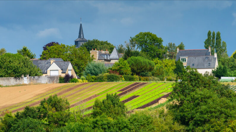 Des investissements ont déjà été réalisés grâce à ce geste attentionné. (Photo: Irina Crick/Shutterstock)