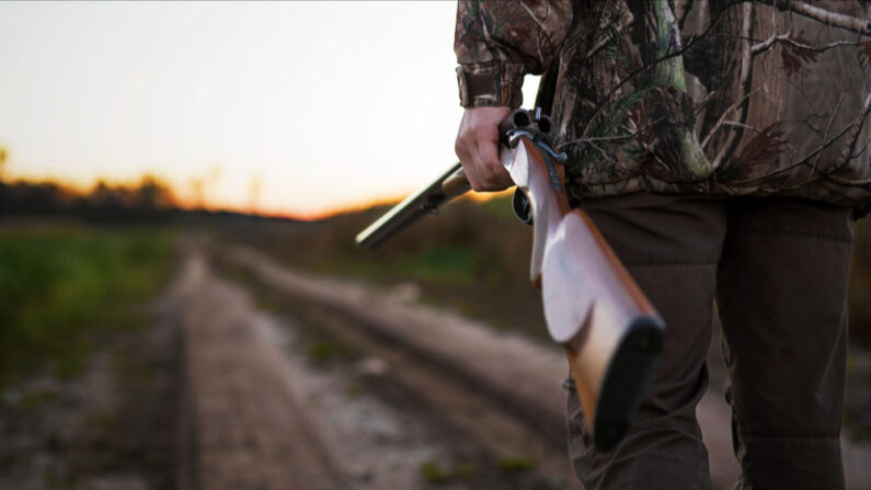 C'est la deuxième fois en deux mois qu'un chasseur succombe à un tir dans l'Orne. (Photo: Kaspars Grinvalds/Shutterstock)