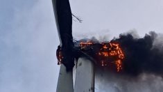 Loire-Atlantique: une éolienne en proie aux flammes en pleine tempête Nelson