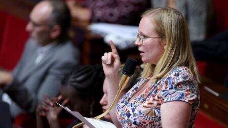 La députée Ersilia Soudais porte plainte pour viol contre son conjoint libérée de sa garde à vue