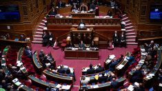 Le Sénat valide à son tour très largement l’accord avec l’Ukraine