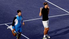 Le match Alcaraz-Zverev interrompu près de 2 heures après une invasion d’abeilles, à Indian Wells