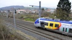 Gare de Mulhouse: excédé par les pleurs d’un bébé, un homme agresse la mère de famille au couteau