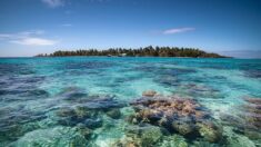 Les plus belles plages du monde: deux françaises se placent dans le top 15