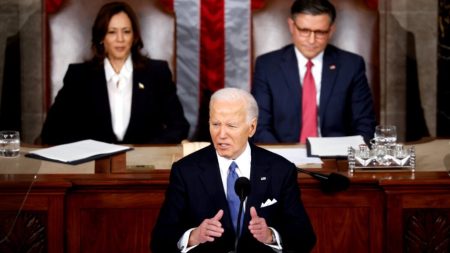 Biden s’excuse d’avoir appeler le meurtrier présumé d’une jeune femme « un clandestin »: il voulait dire « un sans-papiers »