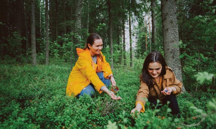 Pays les plus heureux du monde : la Finlande en tête, la France à la 33e place