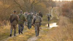 Gironde: elle agresse une dizaine de chasseurs et percute l’un d’entre eux avec sa voiture