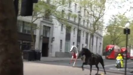 Londres : des chevaux en cavale sèment la pagaille en plein centre, au moins quatre blessés