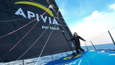 Voile: Dalin leader, des abandons et une dépression sur The Transat