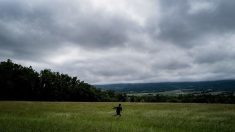 Abandonnés par leur mère à l’âge de 5 et 7 ans, Michel et Patrice ont passé leur enfance seuls, dans les bois