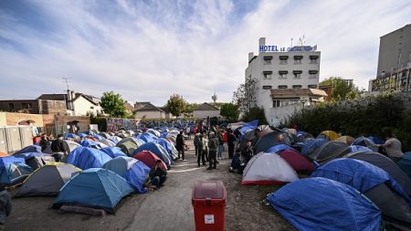 Politique migratoire: environ 7 Français sur 10 souhaitent un référendum sur cette question, selon un sondage