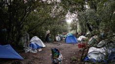 Nord: un migrant a été mortellement blessé par arme blanche aux abords d’un campement