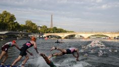 JO : Tony Estanguet dévoile un plan B si la Seine est trop polluée