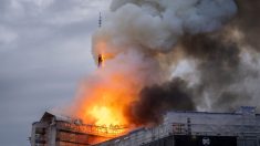 « C’est notre Notre-Dame »: incendie spectaculaire à la vieille Bourse de Copenhague