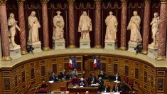 Dérives sectaires : le projet de loi est rejeté par le Sénat, dernier mot à l’Assemblée