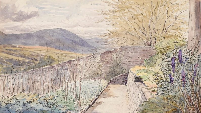 Dessin d'un jardin clos, Ees Wyke, Sawrey, vers 1900, par Beatrix Potter (Avec l'aimable autorisation de la Morgan Library & Museum)