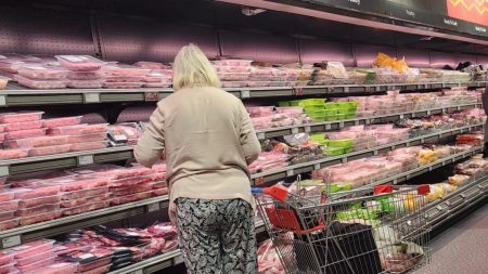 Une étude révèle les carences des régimes végétaliens à base de viande végétale