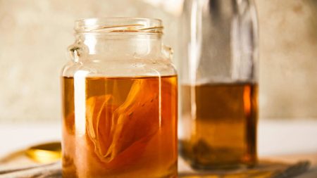 Une étude démontre le potentiel de combustion des graisses du kombucha