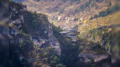 Gorges du Tarn: souhaitant photographier des rapaces, il fait de magnifiques clichés de Rafale