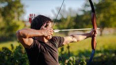 Seine-Maritime: il s’entraîne au tir à l’arc dans son jardin, sa flèche termine dans l’épaule du voisin