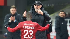 L1: une saison « déjà exceptionnelle » pour Brest, relativise Roy