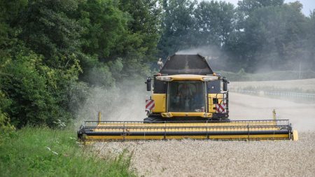 Pesticides : chercheurs, soignants et malades reprochent au gouvernement de sacrifier la santé