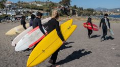 Surfeurs disparus au Mexique : trois corps ont été retrouvés avec une balle dans la tête