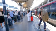 Faute de billet TGV pour son chat, elle écope d’une amende et s’en indigne sur les réseaux sociaux