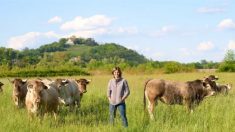 Bérénice, désespérée, doit procéder à l’abattage de ses 200 vaches : « Je trouve cela aberrant »