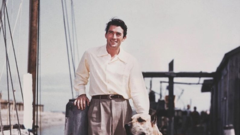 L'acteur Gregory Peck pose avec un dogue allemand sur un quai, vers 1950. (Archive Photos/Stringer/Getty Images)