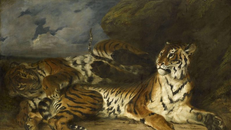 «Jeune tigre jouant avec sa mère», 1830, d'Eugène Delacroix. Musée du Louvre, Paris. (Domaine public)