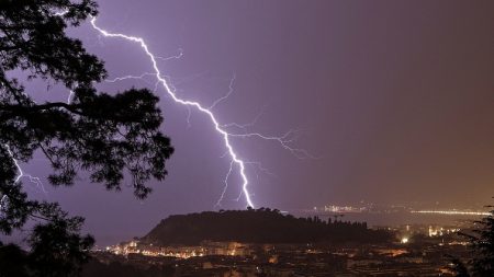 Orages : trois morts dans l’Aube, écrasés par un arbre à bord de leur voiture