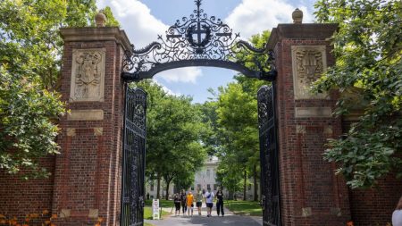 Étudiants : Abdallah, 24 ans, quitte Chanteloup-les-Vignes pour une thèse à Harvard