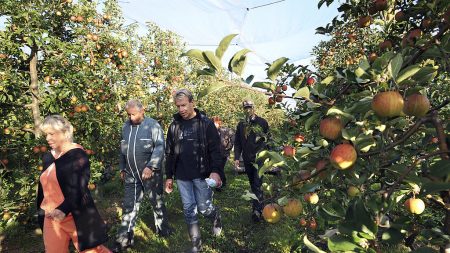 Hôtellerie, restauration, agriculture : des milliers de travailleurs saisonniers manquent à l’appel