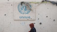 Frappe israélienne sur une école de l’Unrwa où plusieurs terroristes auraient été abattus