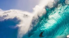 Une attaque de requin a causé la mort du surfeur Tamayo Perry, aussi acteur dans « Pirates des Caraïbes »