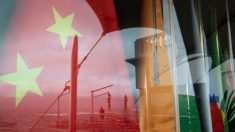 Soutenu par l’Occident, le Brésil se lance dans la course pour concurrencer la domination de la Chine dans l’industrie des terres rares