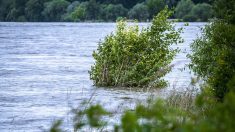 Suisse : trois personnes portées disparues après de fortes inondations