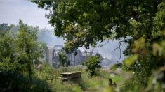 Ce que l’on sait du haras du Calvados où ont péri 70 chevaux dans un incendie