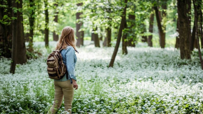 Consciente de l'importance de sa découverte, elle a immédiatement contacté les autorités locales. (Photo: encierro/Shutterstock)