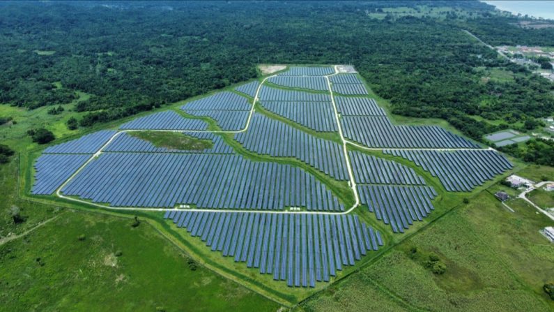 Le projet impliquait de défricher une forêt. (Photo : Wirestock Creators/Shutterstock)