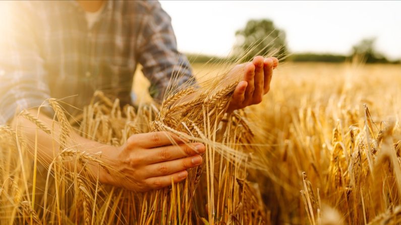 Le travail d'une année a été réduit à néant. (Photo : maxbelchenko/Shutterstock)