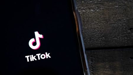 Tik Tok aurait orienté les jeunes électeurs allemands vers l’AfD, proche de Pékin