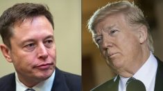 Elon Musk va injecter 45 millions de dollars par mois dans la campagne de Donald Trump