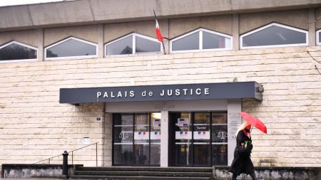 Sochaux : un mineur de 12 ans interpellé, projetant des attaques terroristes « contre des Français »