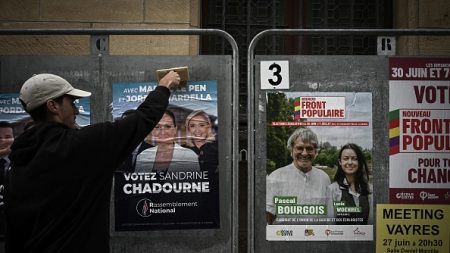 Législatives : plus de 210 désistements annoncés pour le second tour