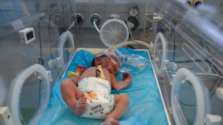 Un bébé sauvé du ventre d’une Palestinienne enceinte tuée après une frappe à Gaza